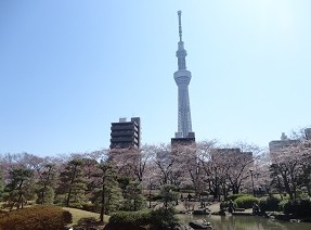 公園　隅田公園（公園）まで337m