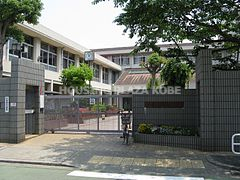 小学校　神戸市立真陽小学校（小学校）まで493m