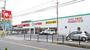 ドラックストア　スギ薬局 城東東中浜店（ドラッグストア）まで292m