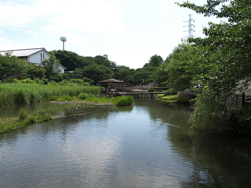 公園　岸根公園（公園）まで126m