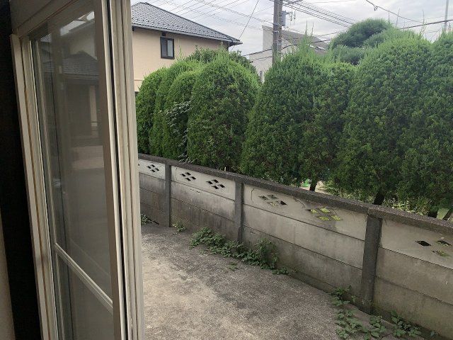 庭