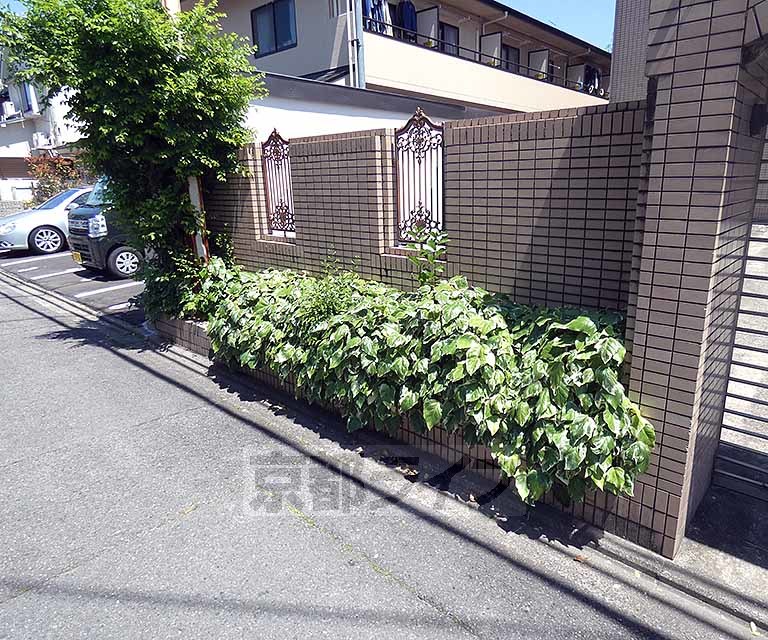 庭