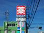 ドラックストア　ウエルシア宇都宮双葉店（ドラッグストア）まで568m