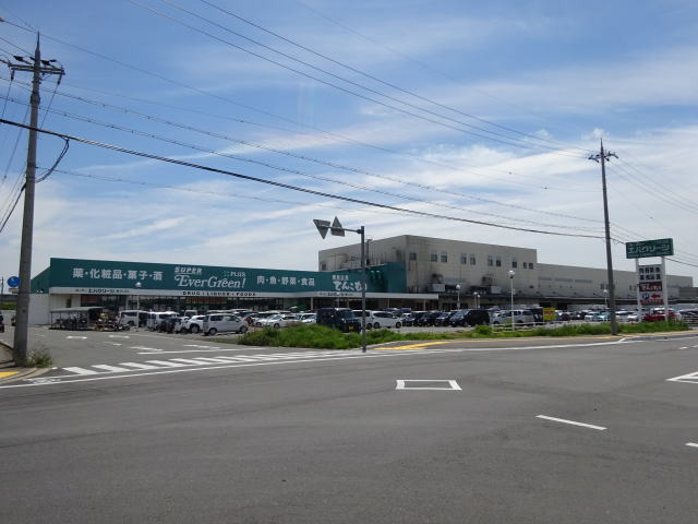 スーパー　スーパーエバグリーンプラス 和歌山北インター店（スーパー）まで1262m