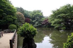 公園　有栖川公園（公園）まで600m