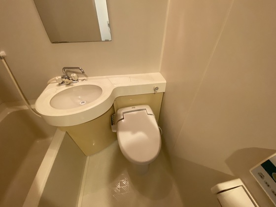 トイレ　※別号室の写真です