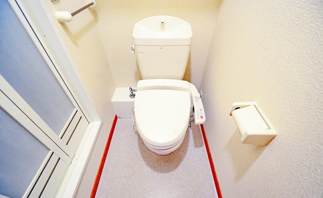 トイレ　同物件、別号室の写真