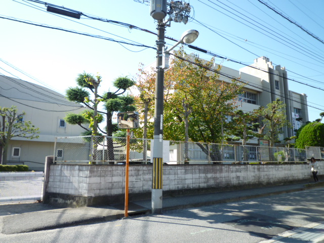 中学校　富田林市立第一中学校（中学校）まで1281m