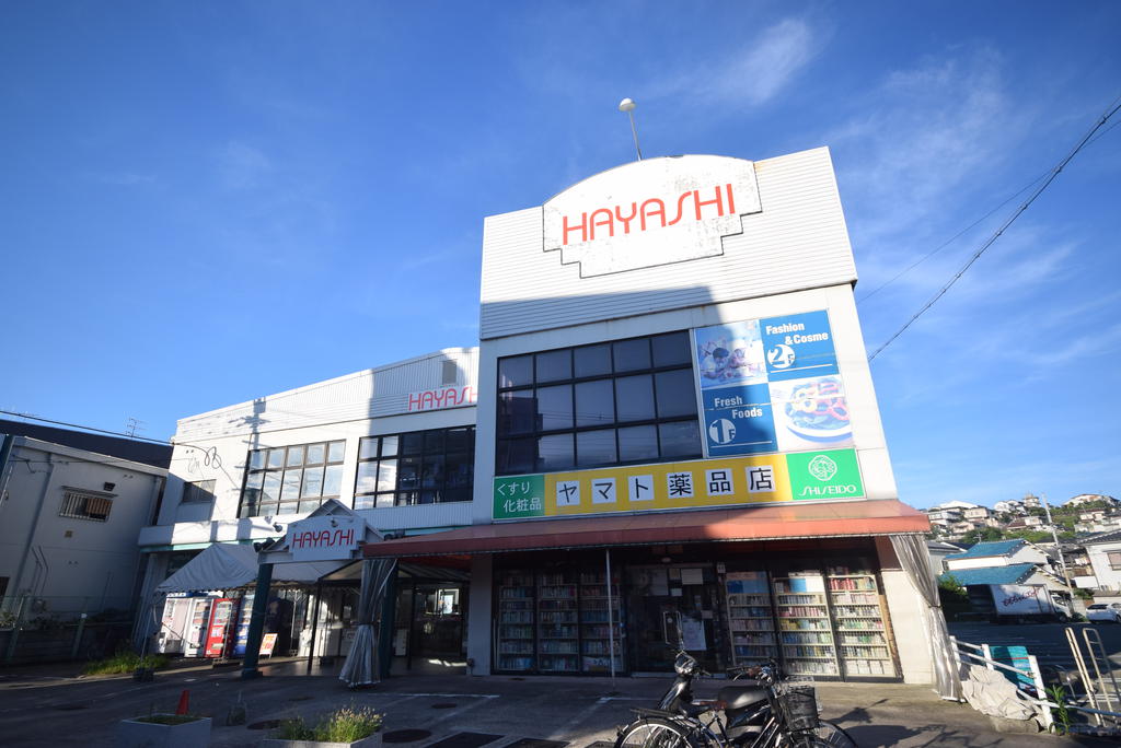 スーパー　HAYASHI国分店（スーパー）まで458m