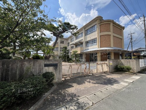 小学校　久留米市立大善寺小学校（小学校）まで556m