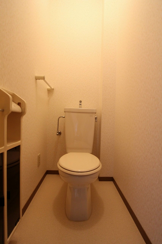 トイレ　※参照※別号室の写真です