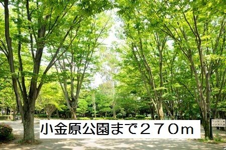 公園　小金原公園（公園）まで270m