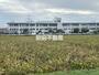 小学校　西郷小学校（小学校）まで2500m