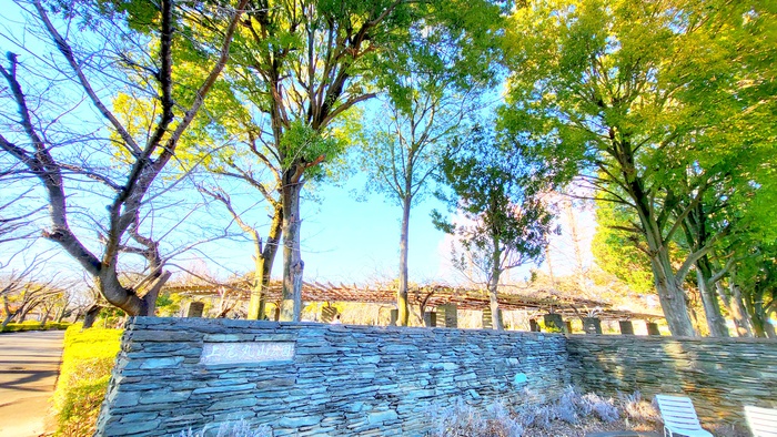 公園　丸山公園（公園）まで1600m