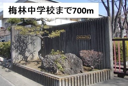 中学校　梅林中学校（中学校）まで700m