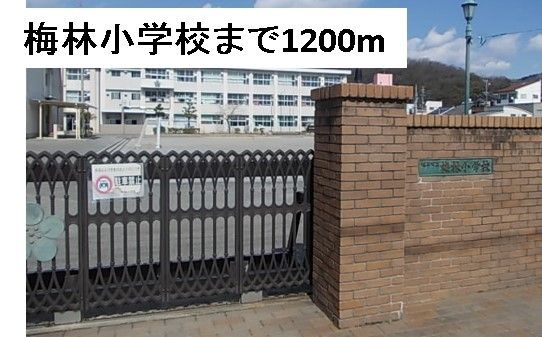 小学校　梅林小学校（小学校）まで1200m