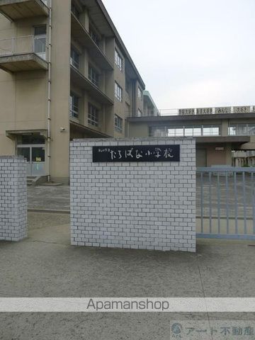 小学校　たちばな小学校（小学校）まで506m