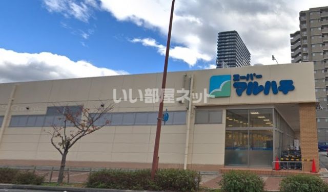 スーパー　スーパーマルハチ 鷹取店（スーパー）まで585m