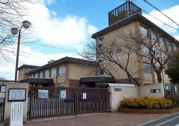 小学校　京都市立日野小学校（小学校）まで800m