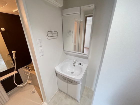 洗面設備　※別部屋の写真です