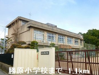 小学校　勝原小学校（小学校）まで1100m