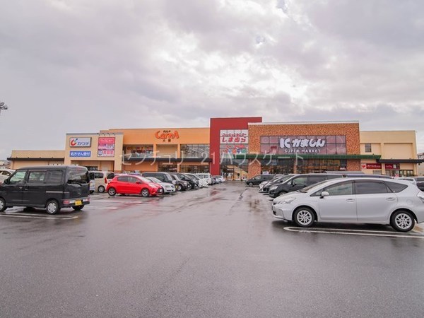 スーパー　かましんカルナ大曽店（スーパー）まで534m