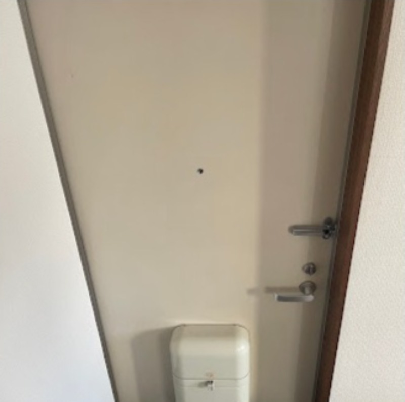 玄関　図面と現状に相違がある場合には現状を優先