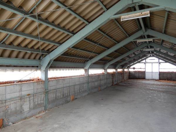 その他　駐輪場（その他）まで50m