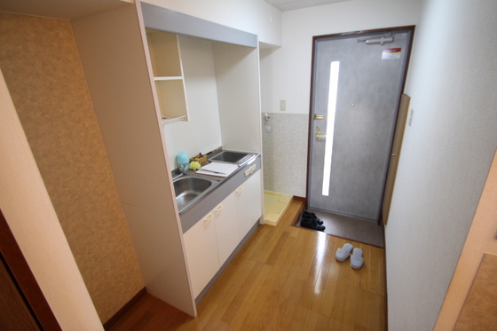 玄関　※他号室の写真です