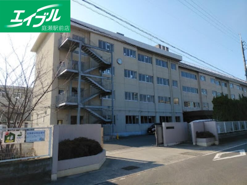 小学校　岡山市立横井小学校（小学校）まで293m