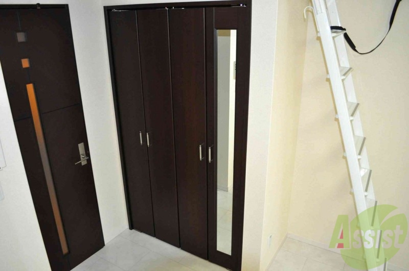 その他部屋・スペース　収納スペースとロフトに続くはしごです