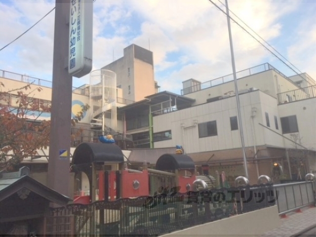 幼稚園・保育園　せいしん幼児園（幼稚園・保育園）まで370m