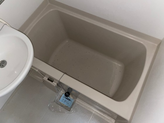 バス・シャワールーム　※別部屋の写真です