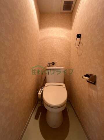 トイレ　メゾン要町 301