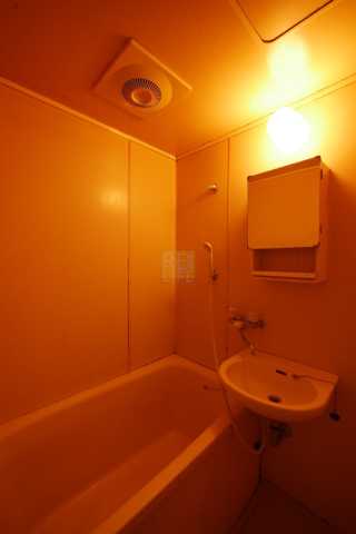 バス・シャワールーム　ベイ・アルファ上富士の風呂