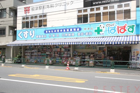 ドラックストア　どらっぐぱぱす根津店（ドラッグストア）まで195m