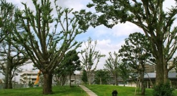 公園　中野区立四季の森公園（公園）まで1377m