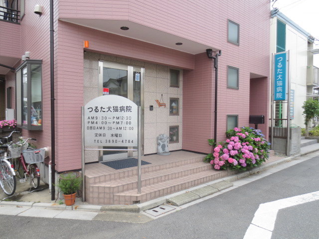 病院　つるた犬猫病院（病院）まで422m