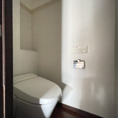 トイレ　同仕様タイプです