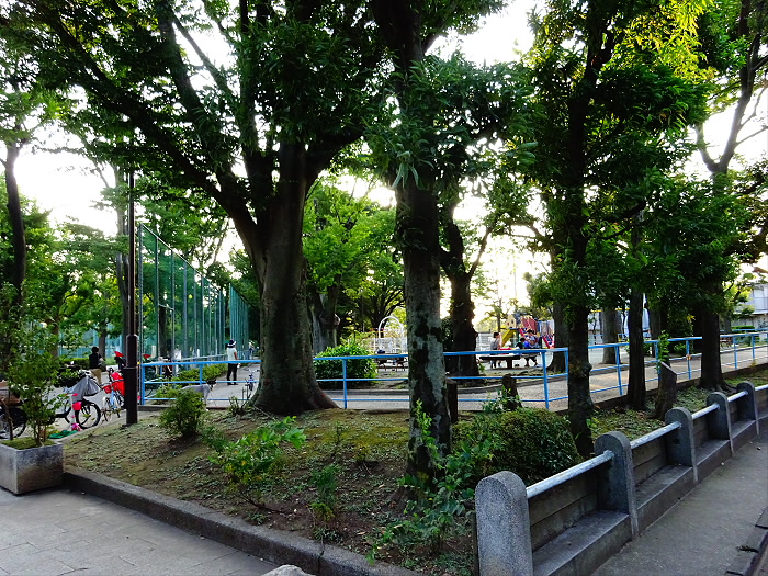 幼稚園・保育園　羽根木こども園（幼稚園・保育園）まで221m