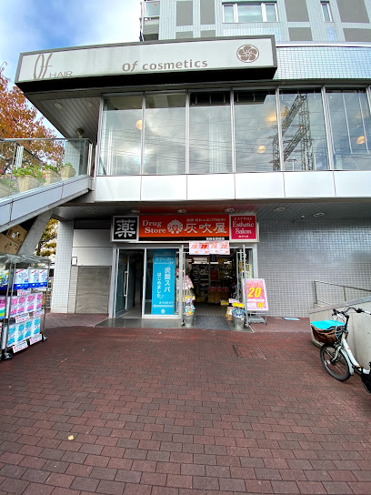 ドラックストア　ハイフキヤドラッグ 宮崎台駅前店（ドラッグストア）まで572m