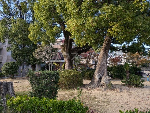 公園　新田公園（公園）まで289m