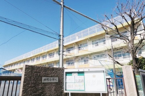 小学校　川口市立仲町小学校（小学校）まで462m