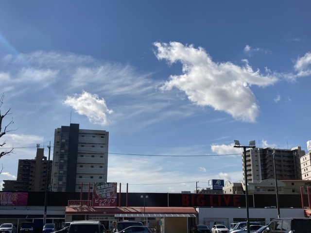 スーパー　ビッグリブ　安城店（スーパー）まで600m