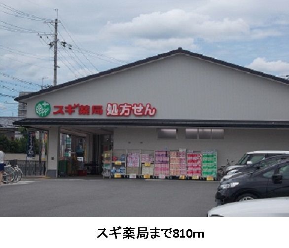 ドラックストア　スギ薬局（ドラッグストア）まで810m