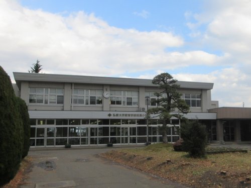 小学校　国立弘前大学教育学部附属小学校（小学校）まで592m