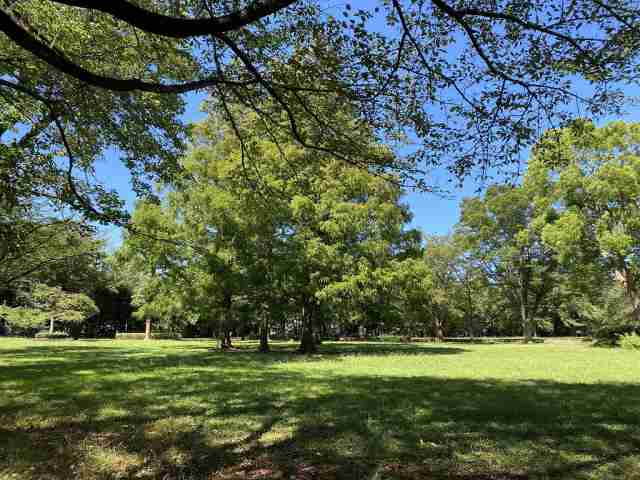 その他　大庭城址公園（その他）まで1526m