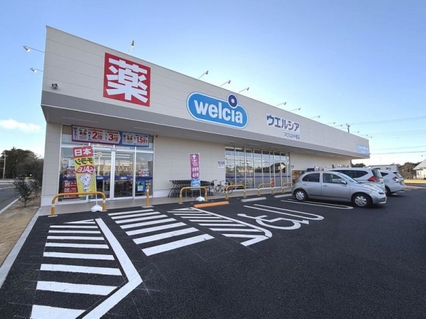 その他　ドラックストア（その他）まで200m