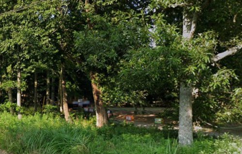 その他　森のあそびば（その他）まで669m