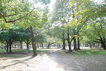 その他共有部分　「西武庫公園」／徒歩約７分（約５５０ｍ）